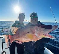 Hogfish Trip - 35' Contender In Tierra Verde