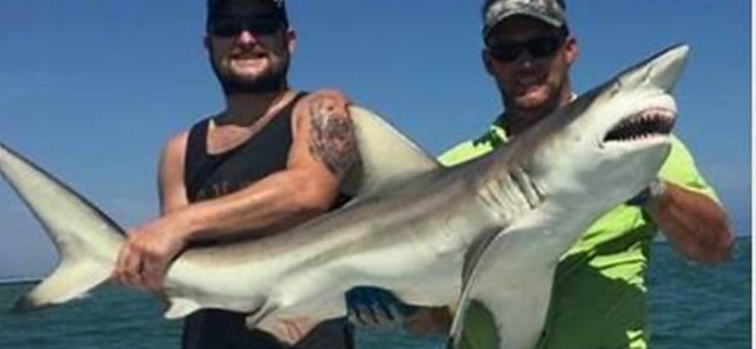 Shark Encounter - 48’ Yacht In Tierra Verde