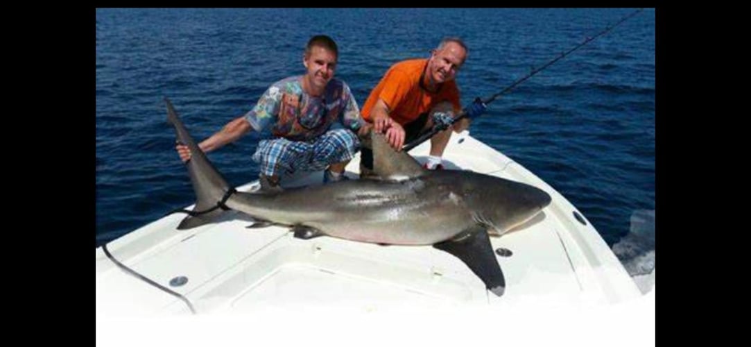 Shark Encounter - 48’ Yacht Sport Fish In Tierra Verde