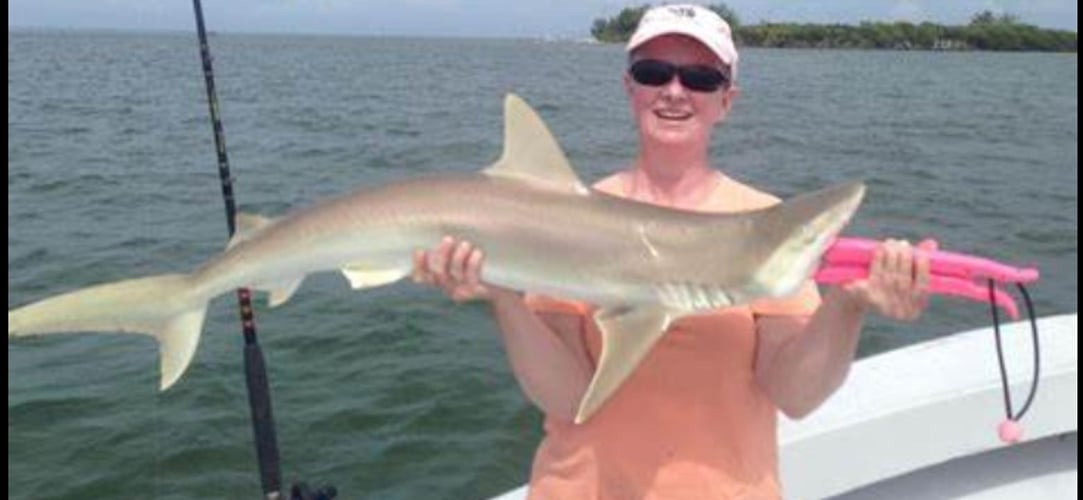 Shark Encounter - 35' Contender In Tierra Verde