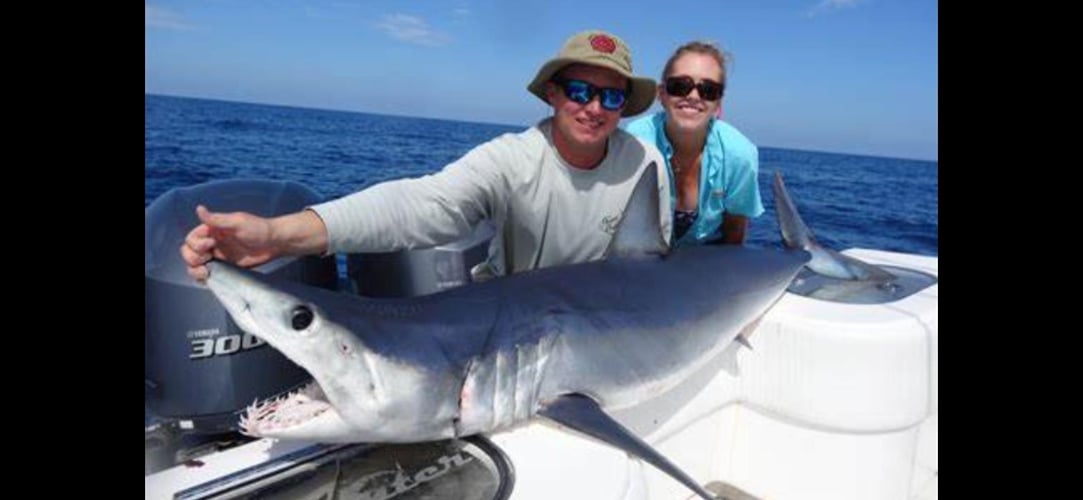 Shark Encounter - 48’ Yacht In Tierra Verde