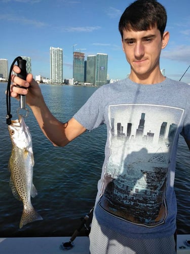 "Locked In" Inshore Fishing In Fort Lauderdale