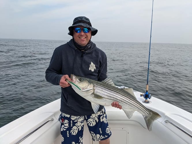 Montauk Saltwater Fly Fishing In Montauk