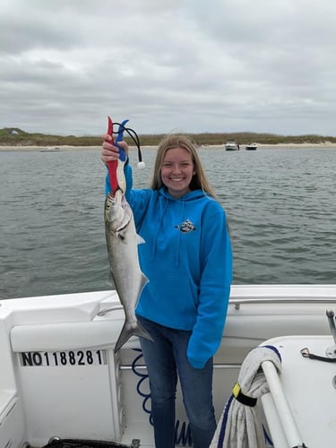 Montauk Saltwater Fly Fishing In Montauk