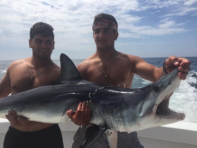 Montauk Inshore Chase in Montauk