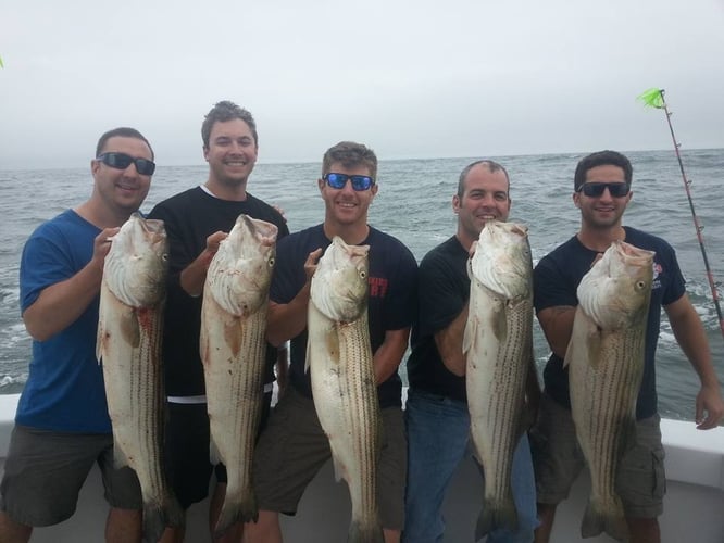 Montauk Inshore Chase In Montauk