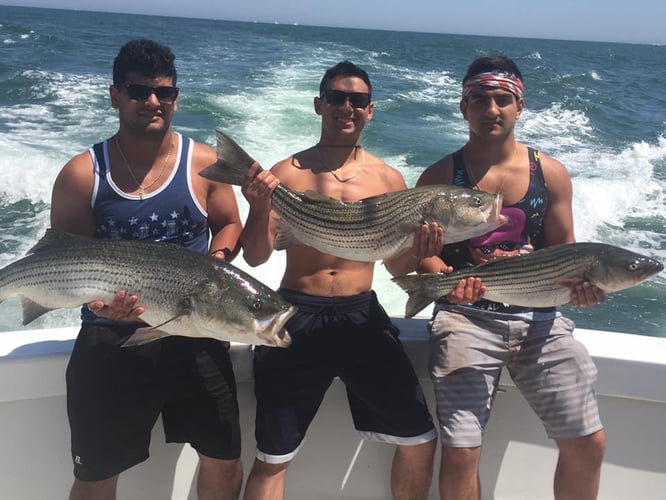 Montauk Inshore Chase in Montauk