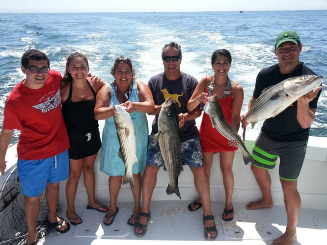 Montauk Inshore Chase In Montauk