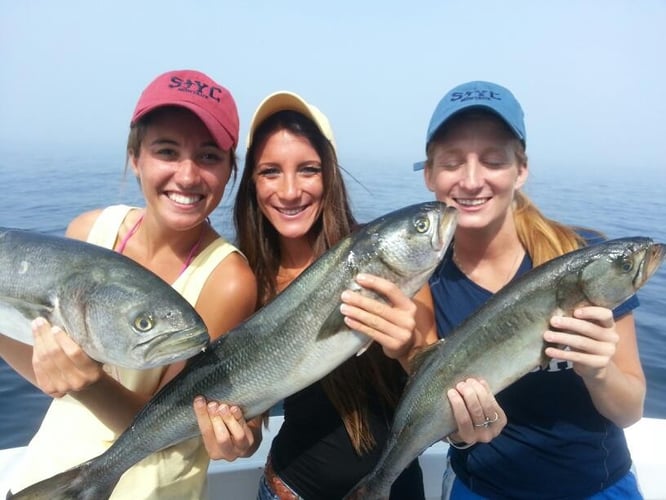 Montauk Inshore Chase In Montauk