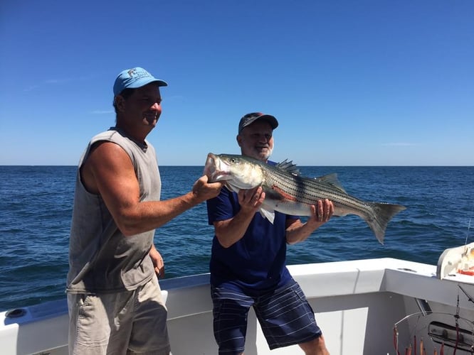 Montauk Inshore Chase in Montauk