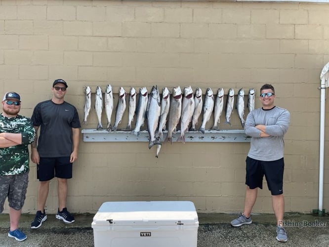 Luxury Lake Michigan Trout & Salmon In Ludington