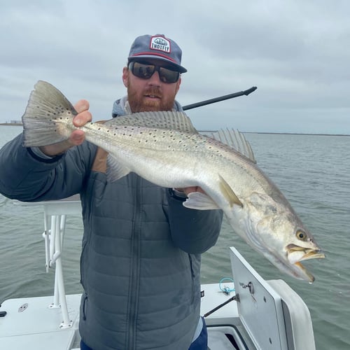 Fly Fish Rockport Half Day In Rockport