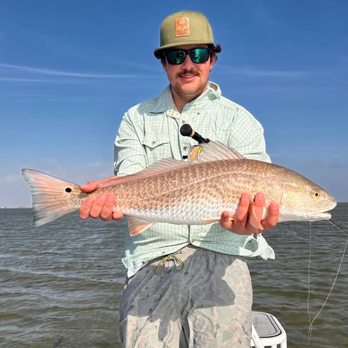 Fly Fish Rockport Half Day In Rockport