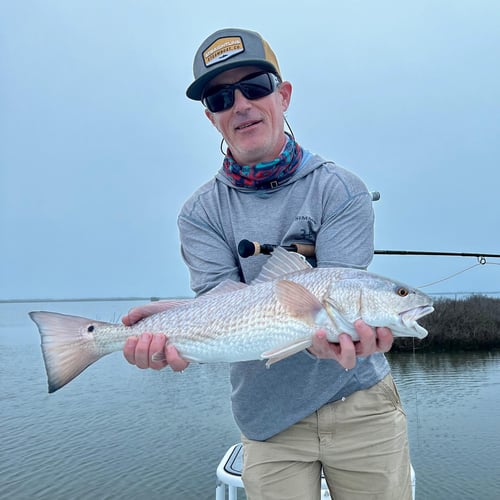 Fly Fish Rockport Half Day In Rockport