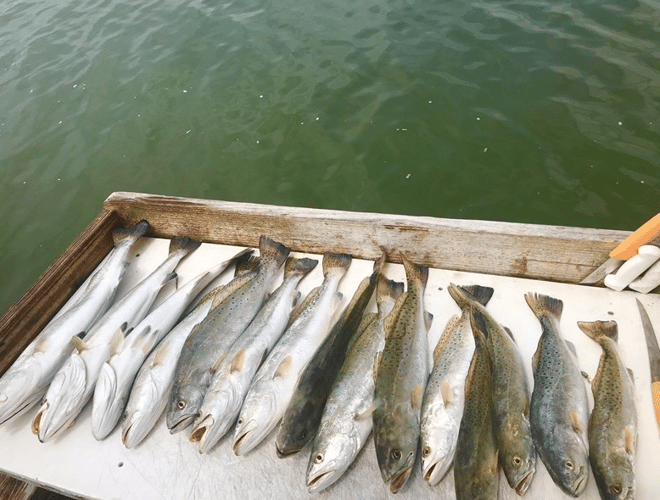 Inshore Fishing Trip In Corpus Christi