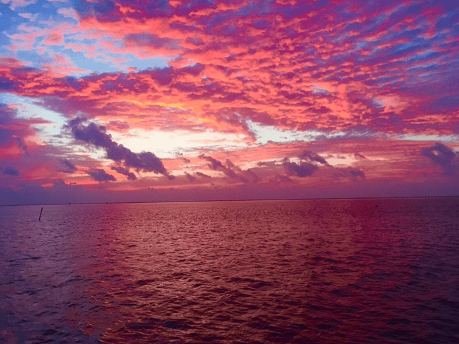 Baffin Bay Backwater Blast In Corpus Christi