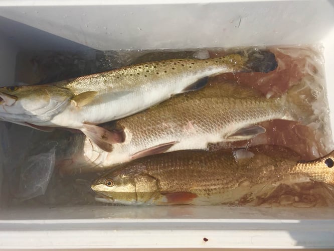 Inshore Fishing Trip In Corpus Christi