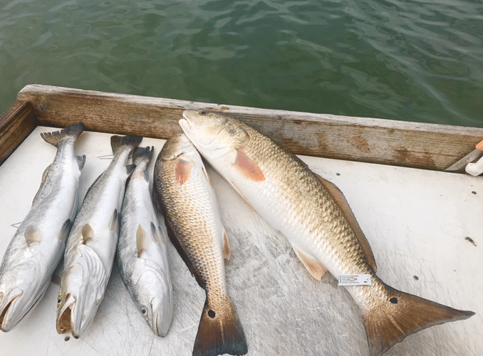 Inshore Fishing Trip In Corpus Christi