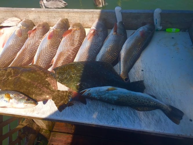 Inshore Fishing Trip In Corpus Christi