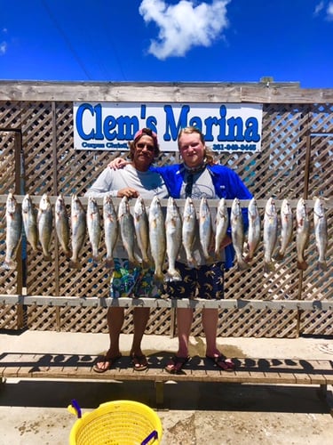 Inshore Fishing Trip in Corpus Christi