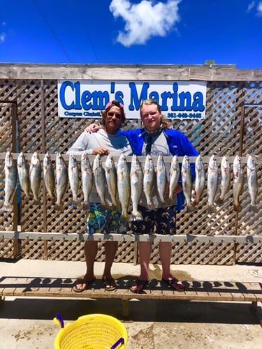 Inshore Fishing Trip In Corpus Christi