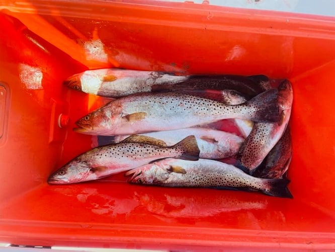 Inshore Fishing Trip in Corpus Christi