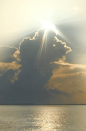 Inshore Fishing Trip in Corpus Christi
