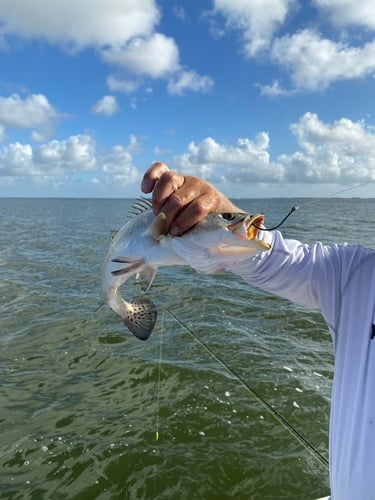 Inshore Fishing Trip in Corpus Christi