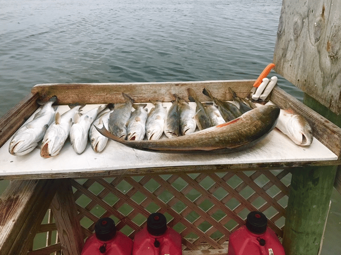 Inshore Fishing Trip In Corpus Christi