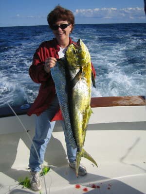 Offshore Tuna / Marlin / Mahi Mahi In Hampton Bays