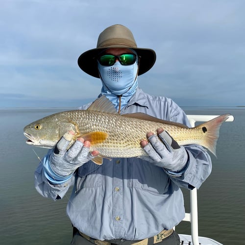 Fly Fish Rockport Half Day In Matagorda