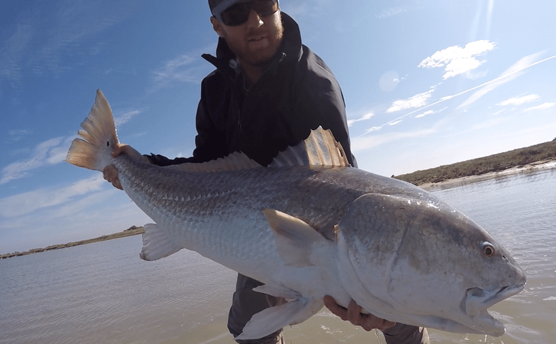 Fly Fish Rockport Half Day In Matagorda