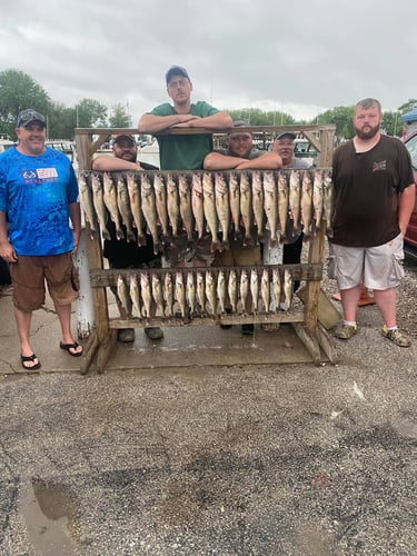 Perch and Walleye Slam in Port Clinton