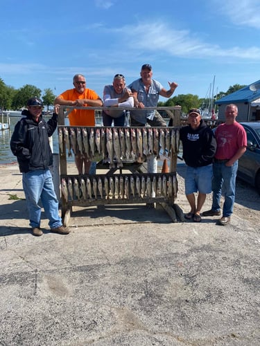 Perch and Walleye Slam in Port Clinton