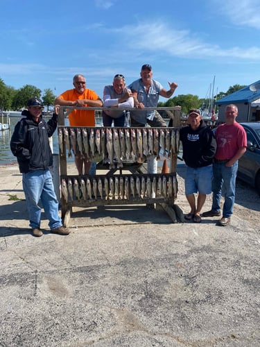 Perch And Walleye Slam In Port Clinton