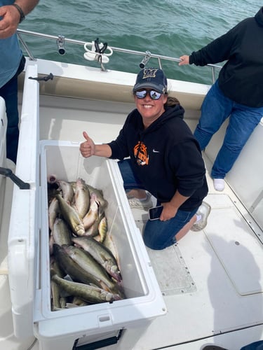 Perch And Walleye Slam In Port Clinton