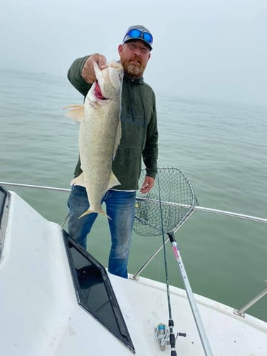 Perch and Walleye Slam in Port Clinton