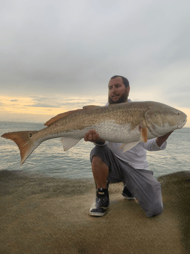 Nearshore/Inshore Madness In Port Orange