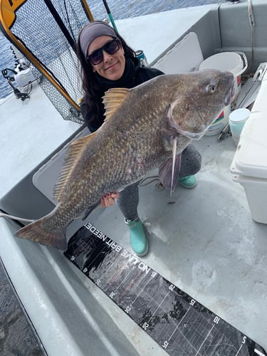 Nearshore/Inshore Madness In Port Orange