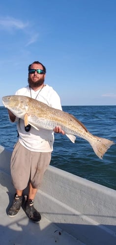 Nearshore/Inshore Madness In Port Orange