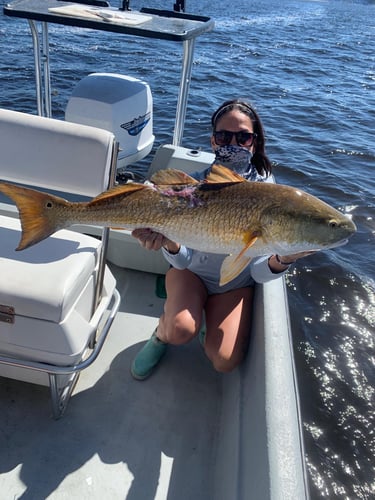 Nearshore/Inshore Madness In Port Orange