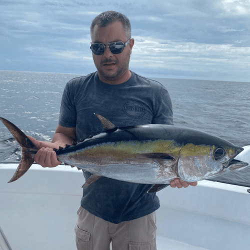 Targeting Tuna In Pensacola In Pensacola