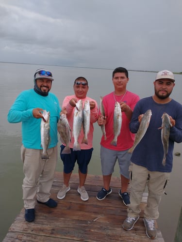 Bay And Jetty Trips In Texas City