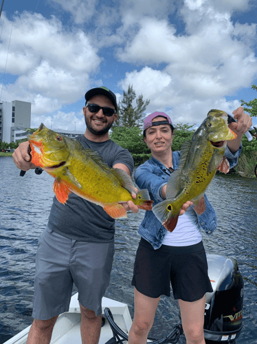 Freshwater Peacock Bass & More In Miami