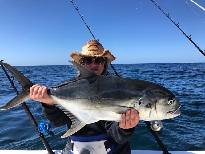 La Cruz De Huanacaxtle Roosterfish In La Cruz De Huanacaxtle