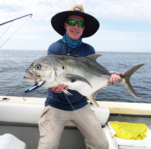 La Cruz De Huanacaxtle Roosterfish In La Cruz De Huanacaxtle