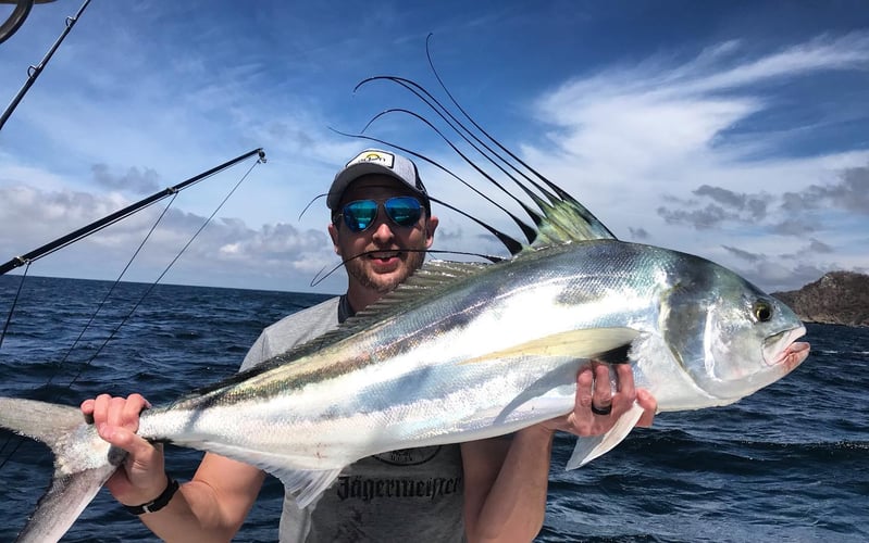 La Cruz De Huanacaxtle Roosterfish In La Cruz De Huanacaxtle