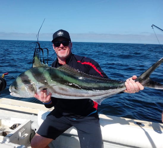 La Cruz De Huanacaxtle Roosterfish In La Cruz De Huanacaxtle