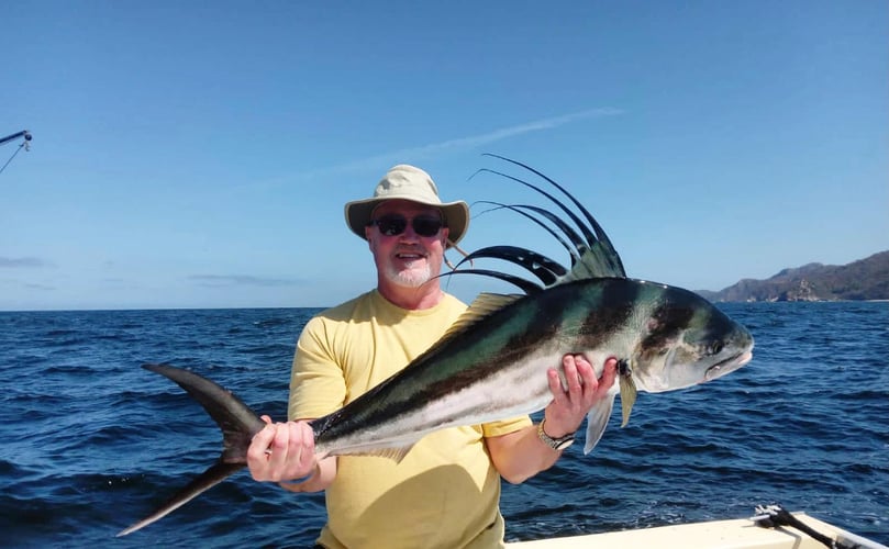 La Cruz De Huanacaxtle Roosterfish In La Cruz De Huanacaxtle