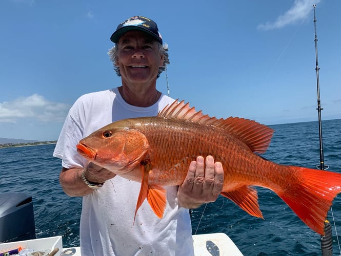 Explosive Inshore - 26’ Super Panga In Punta Mita